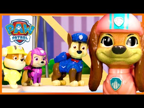 Best of Paw Patrol Toy Play Rescue Missions | PAW Patrol Compilation | Toy Pretend Play for Kids